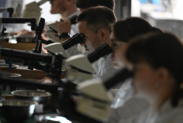 Фото: РИА Новости