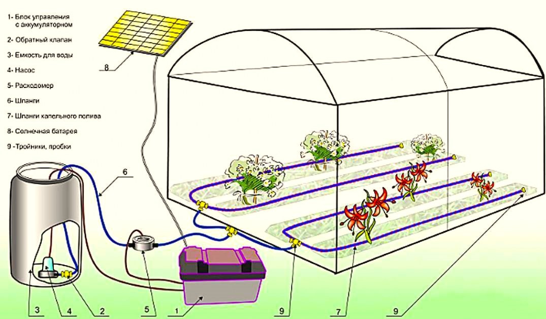 система автоматического полива