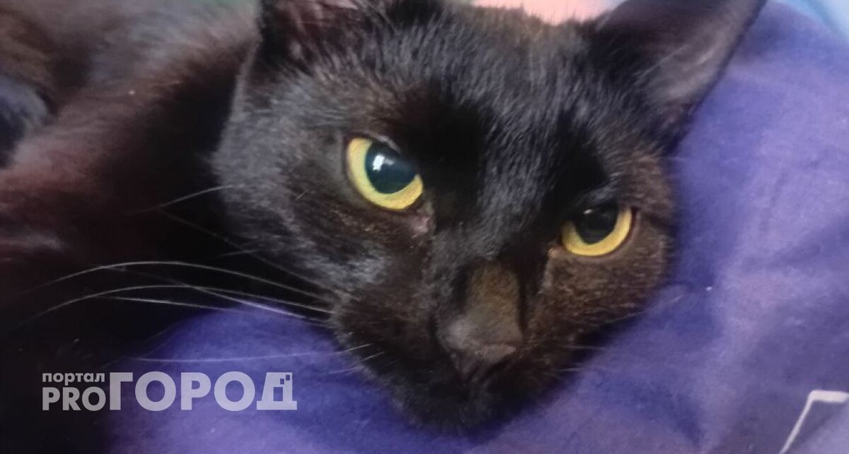    из архива "Про Город"