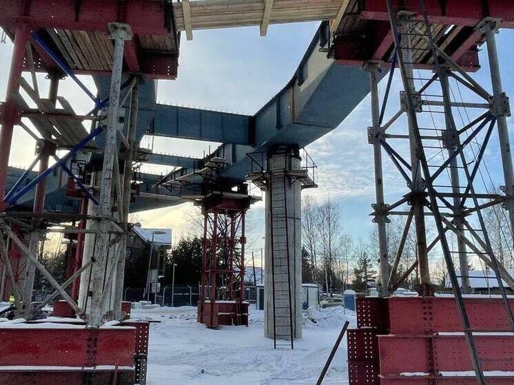     Фото: телеграм-канал Вице-губернатора Санкт-Петербурга Николая Линченко.