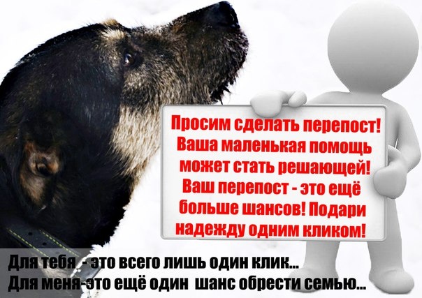 Просим помощи друзья, для наших хвостиков, инче корм в долг не дадут( .Надеемся на помощь