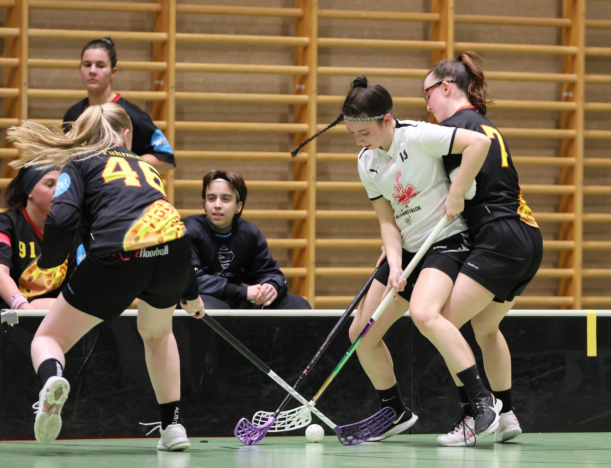 Фото: Мэрион Рахлингер