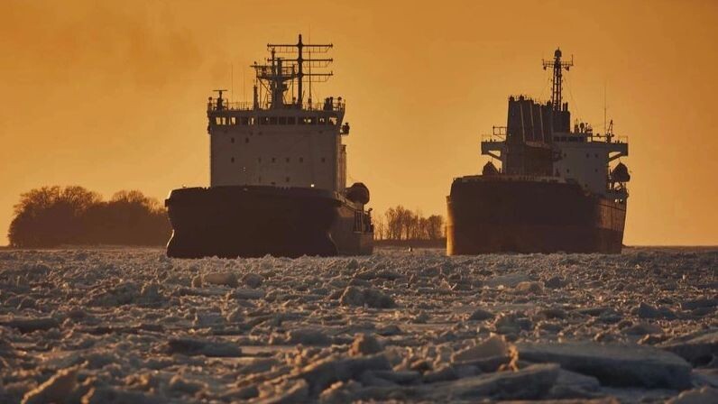    Фото: Artic_photo/Shutterstock/Fotodom