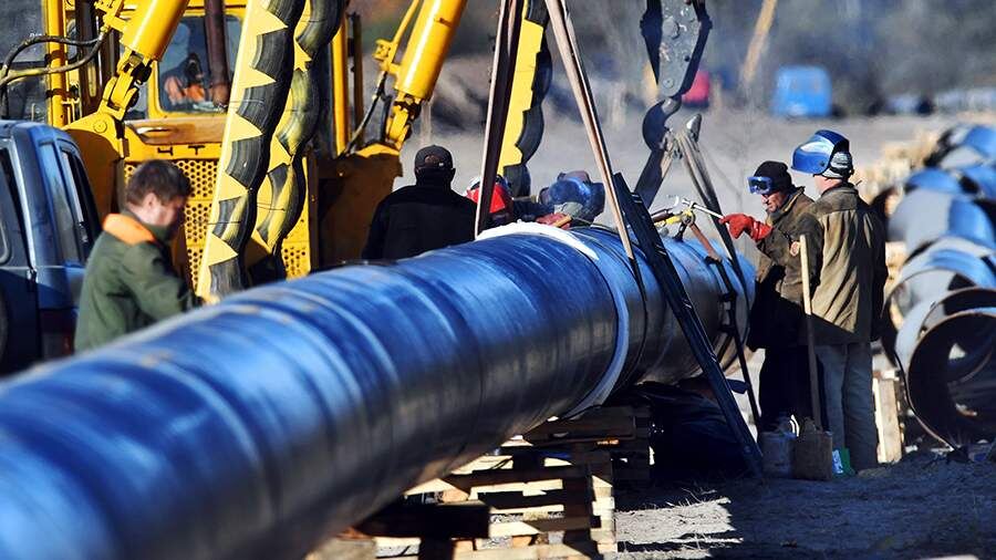    Фото: ТАСС/Виктор Драчев