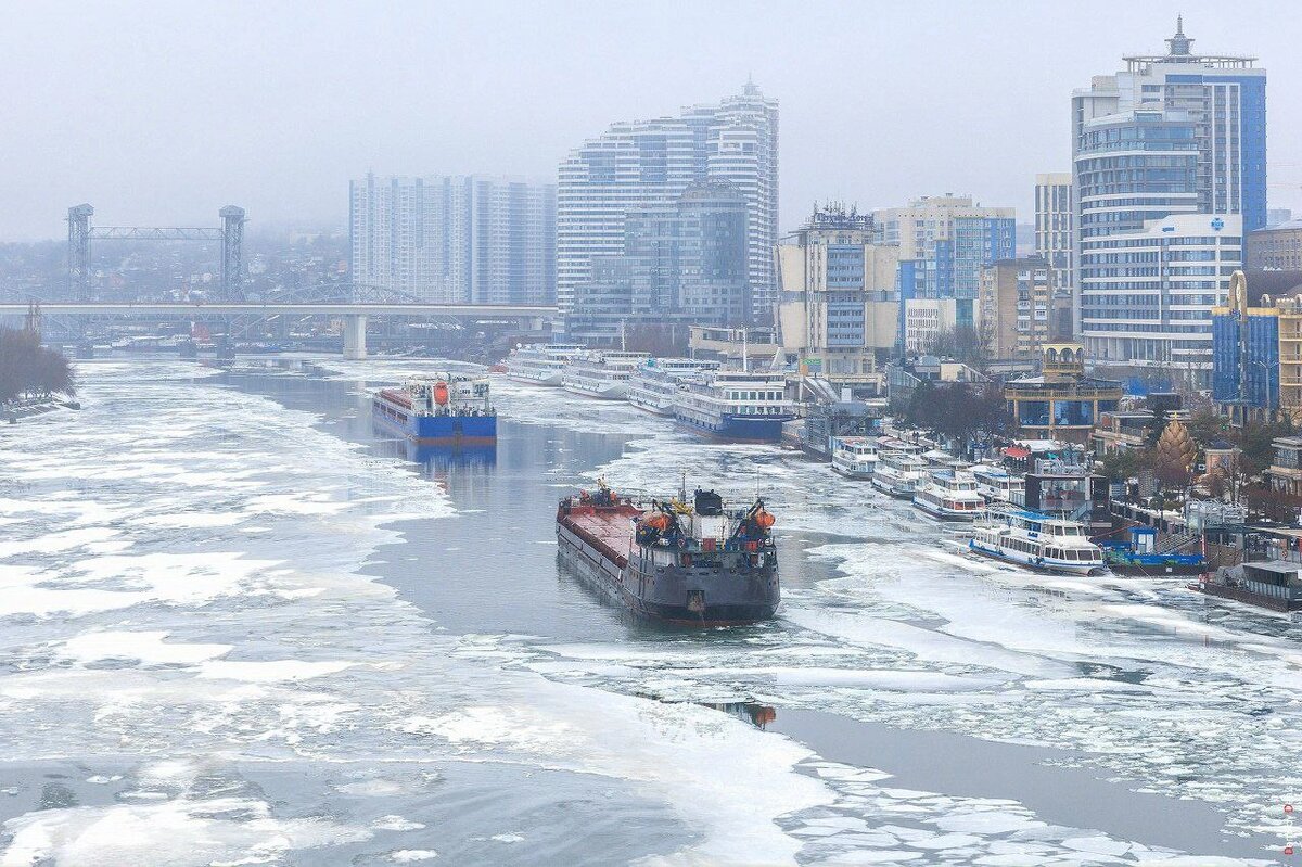    Фото: Денис Демков/Администрация Ростова-на-Дону