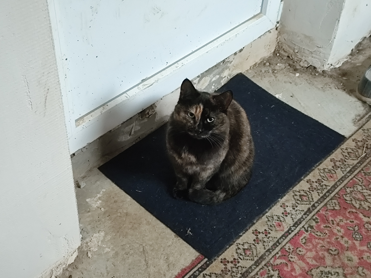 Сидит, с места не сдвинешь )))