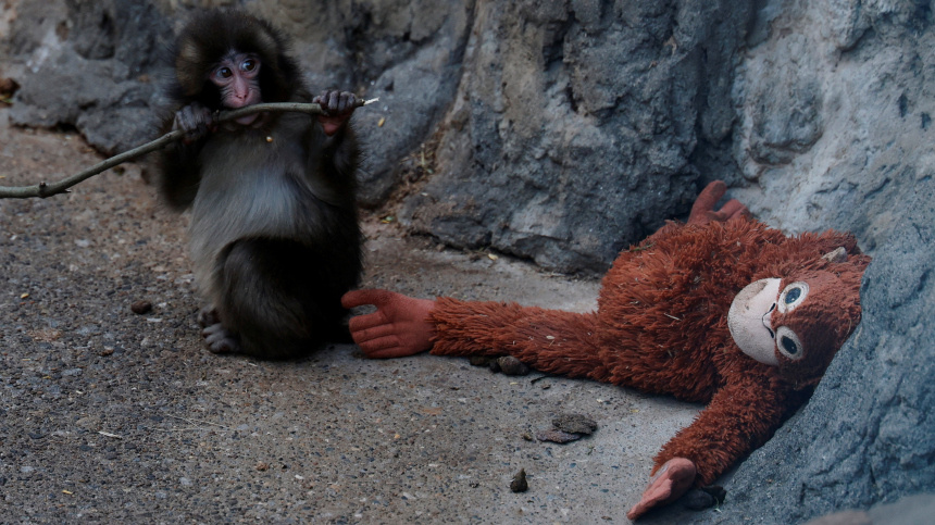    Фото: Reuters/Kim Kyung-Hoon