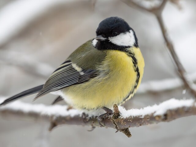    Фото: портал мэра и правительства Москвы/Дарья Мясина