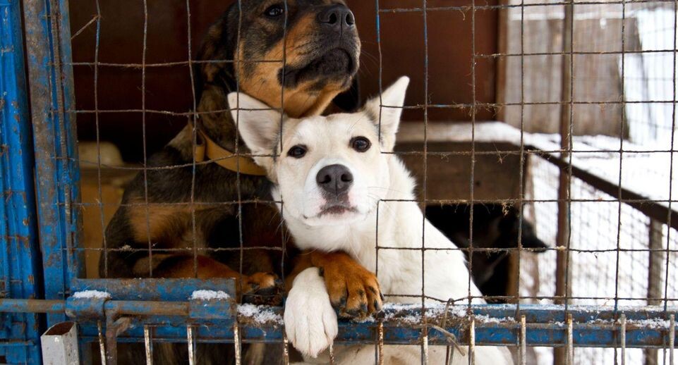    медиасток.рф