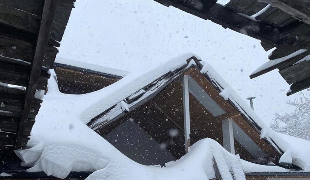    Фото сгенерировано нейросетью