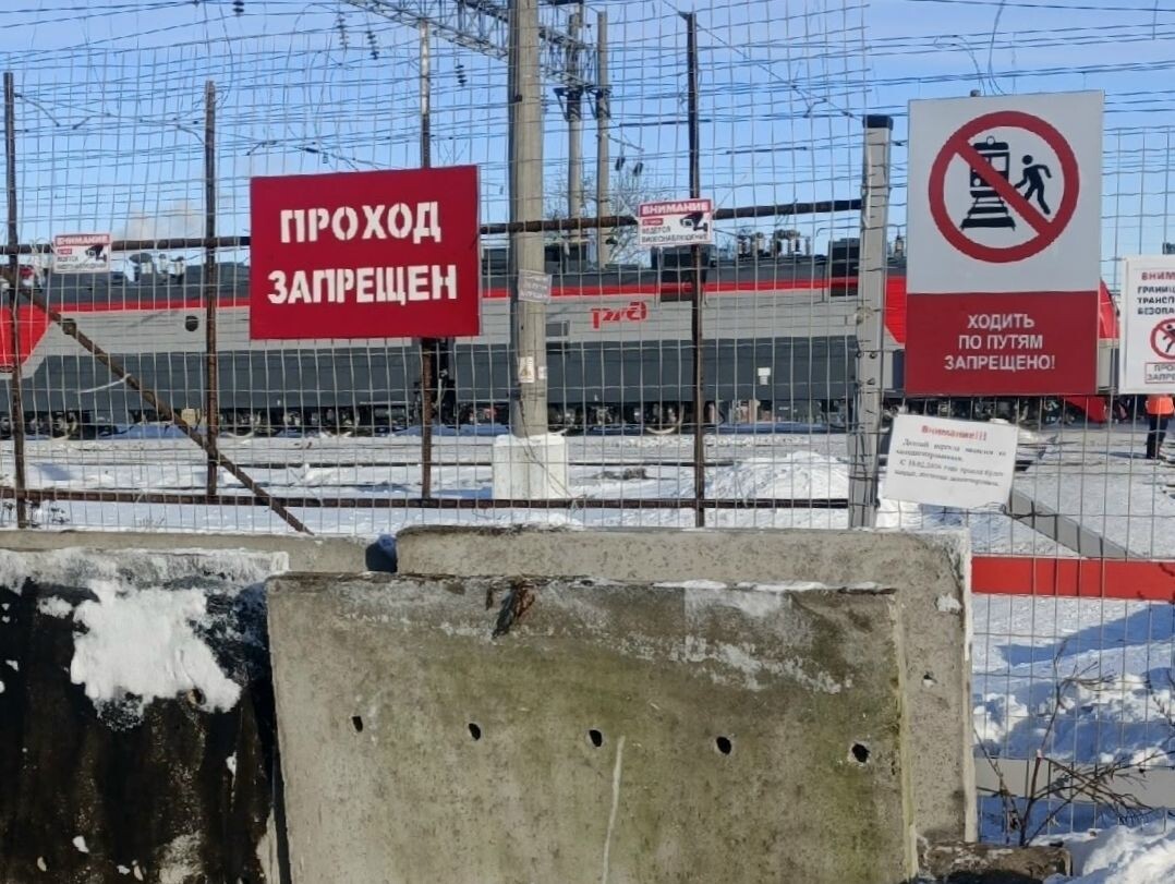    фото: © Железнодорожный (Пятый посёлок) | Рыбка