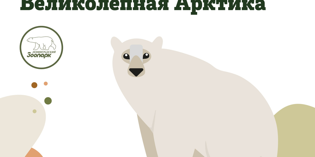 28 февраля – Тематический день «Великолепная Арктика»🌨