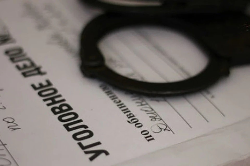    В Подмосковье завели дело на сектанта из «Царской империи» Юлия ПЫХАЛОВА