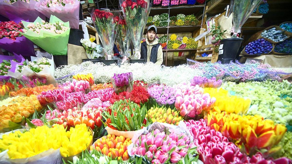    Фото: Сергей Ведяшкин / АГН Москва