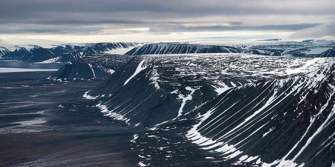 Эффект бабочки по-арктически: как гибель одного вида запускает цепную реакцию