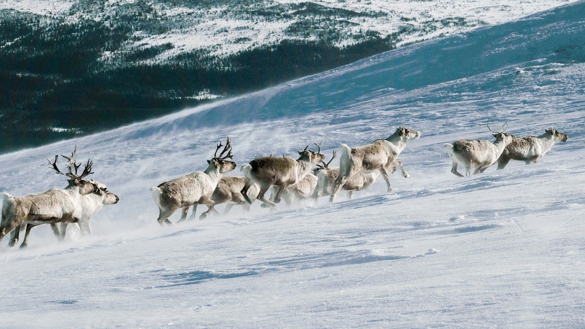 Источник: freepik.com