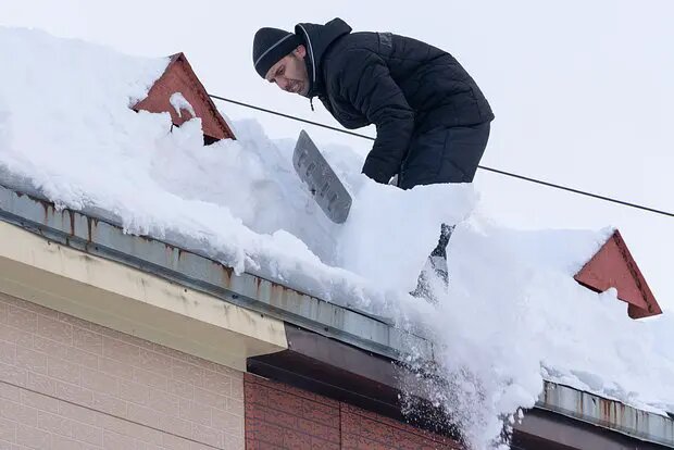    Фото: lenta.ru Денис Сорокин