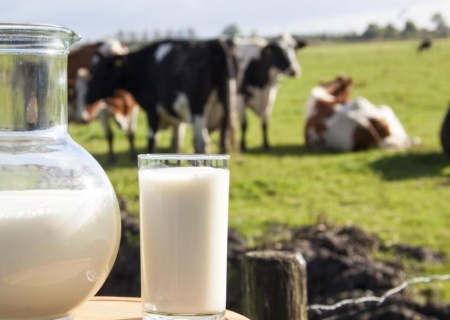    Молочная отрасль Украины в кризисе: под угрозой закрытия до 20% ферм