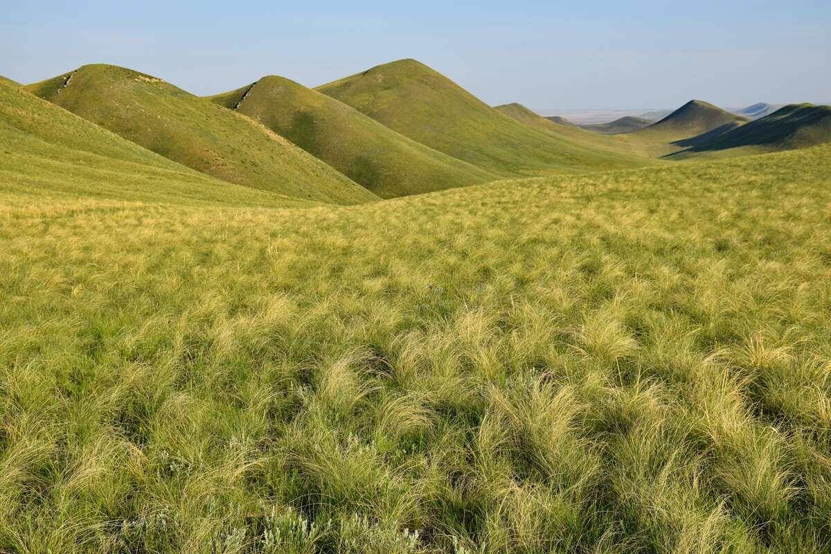    Долгие горы, Беляевский район, Оренбургская область. Фото Павла Велмовского. Институт Степи. stalker