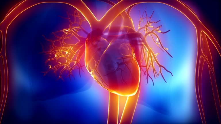 5 удивительных фактов о вашем сердце, которые нужно знать каждому