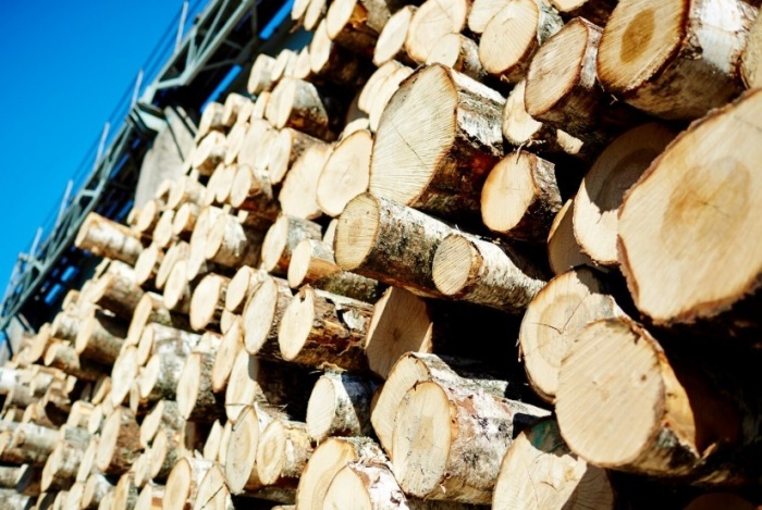    pressfoto/ru.freepik.com