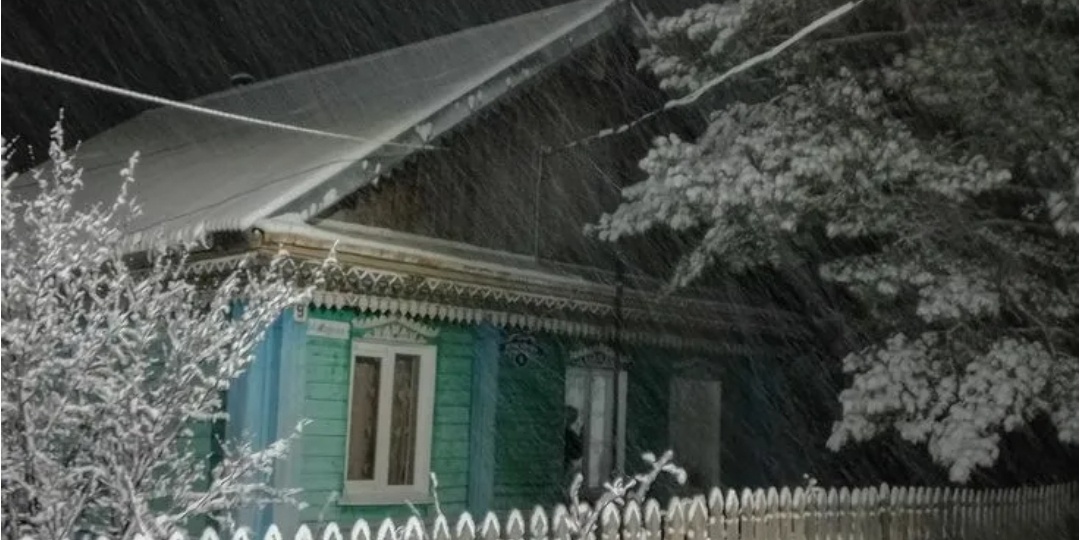 ГИБЕЛЬ НА ПРОВОДАХ ЗИМЫ