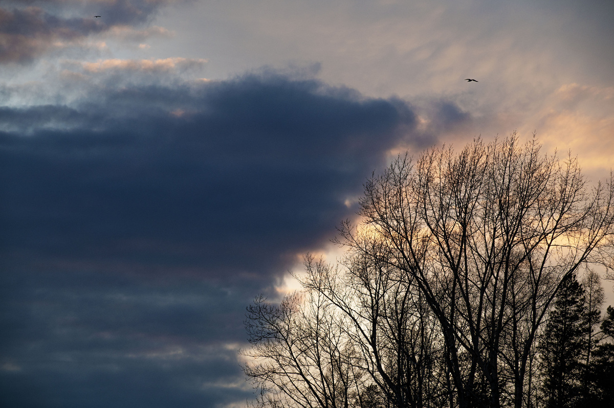 Дуальность мира