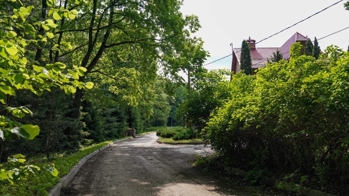 Светлана Мулыкина📷
