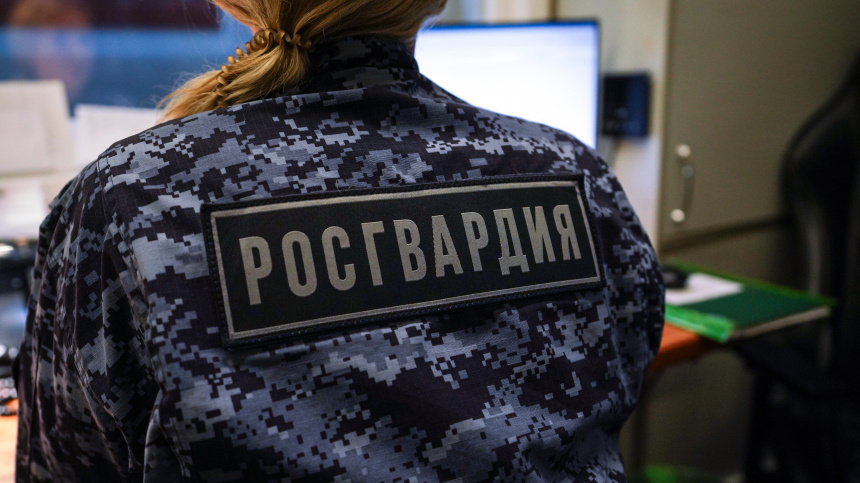    Фото: ИЗВЕСТИЯ/Анна Селина; 5-tv.ru