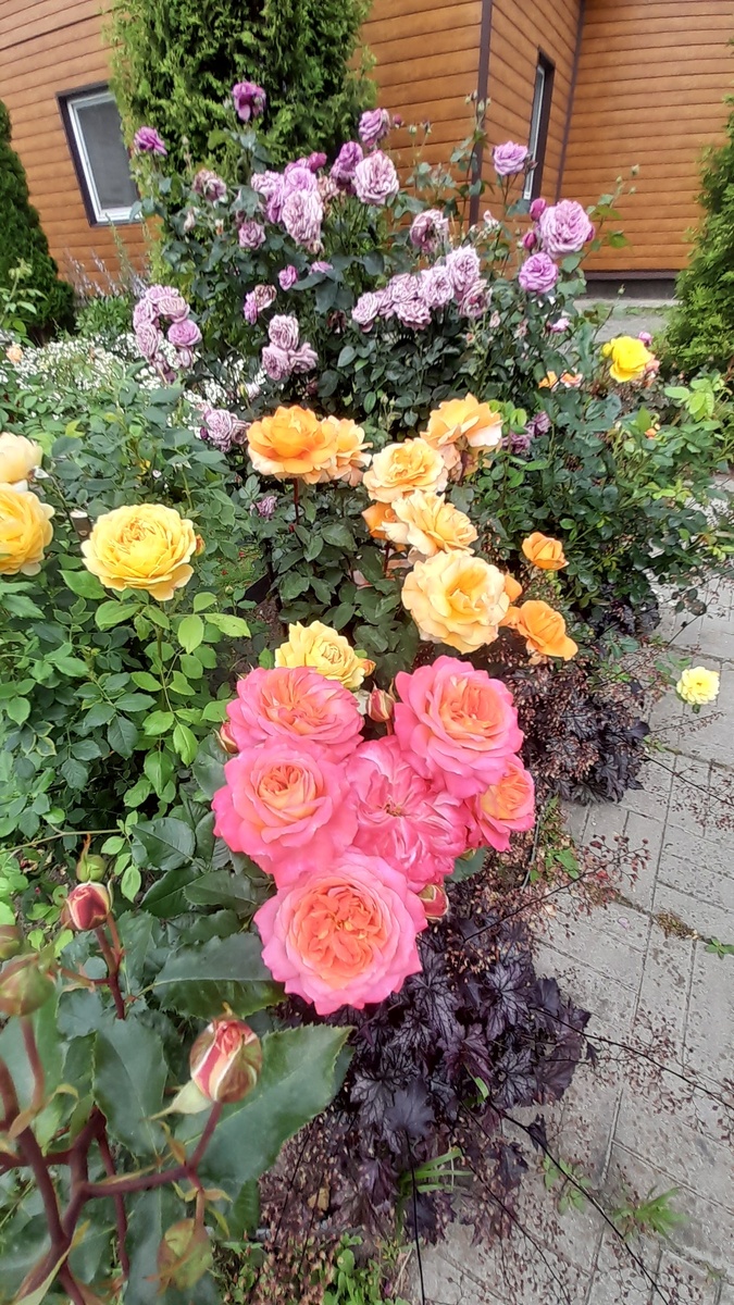 Фото автора 