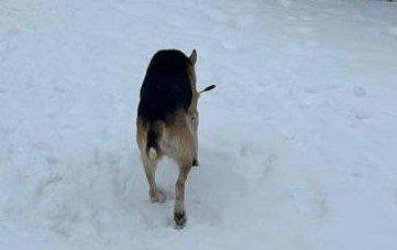    Фото: "Мой и твой Воронеж"