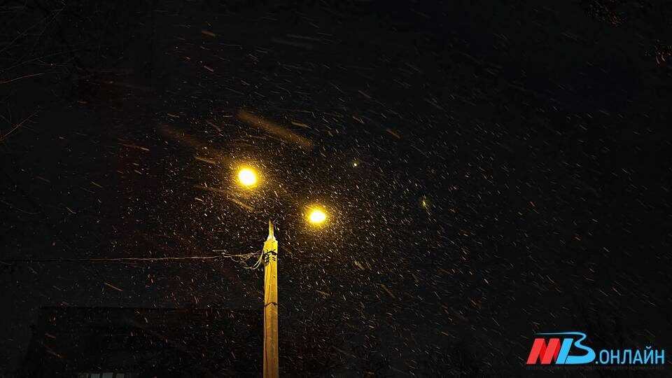    Фото: МТВ.ОНЛАЙН / Елизавета Денисова