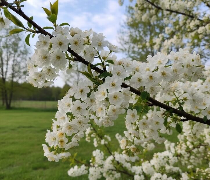    Фото: Пруфы