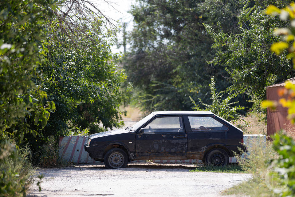    Фото: Данил Савченко / "Городские вести"