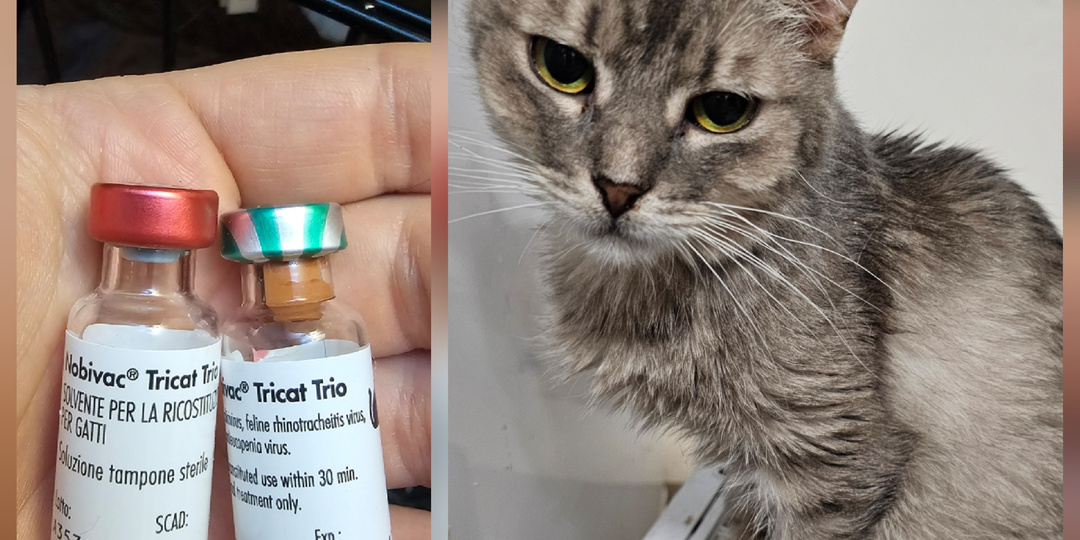 Невидимая война. Помогите спасти жизни.