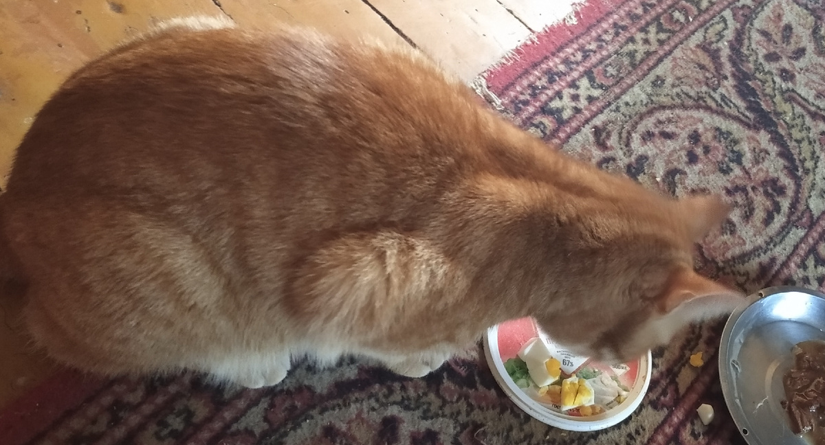 личное фото