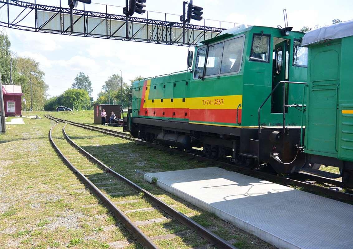    Поезд на станции Нижняя Синячиха stalker