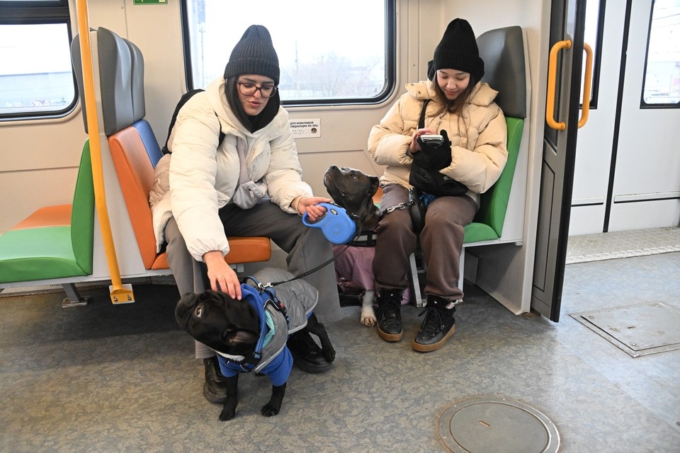    Электрички перевезли по Ростову почти 800 тысяч пассажиров за год. Владимир ВЕЛЕНГУРИН