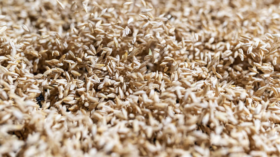 Фото: Олег Харсеев / Коммерсантъ