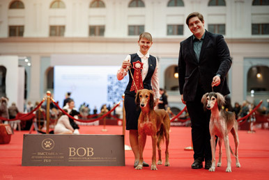 Сэхра Эль Амир и Мерген Басир