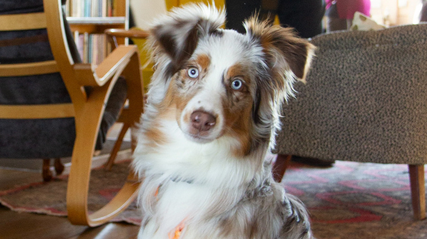    Фото: Борис Сатаров