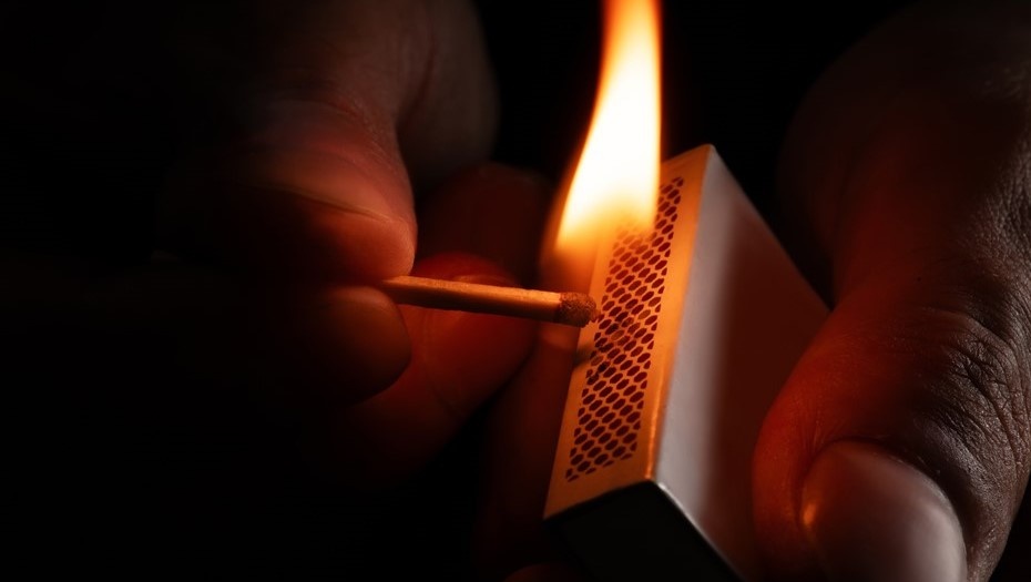    Автор фото: Skrypnykov Dmytro/Shutterstock/FOTODOM