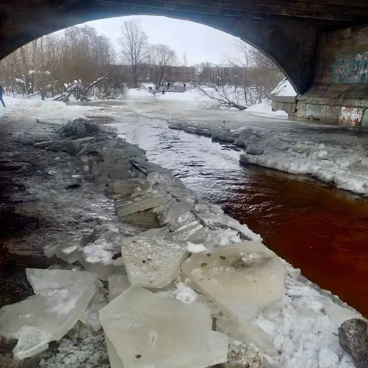    фото: © Госкомитет Карелии по безопасности