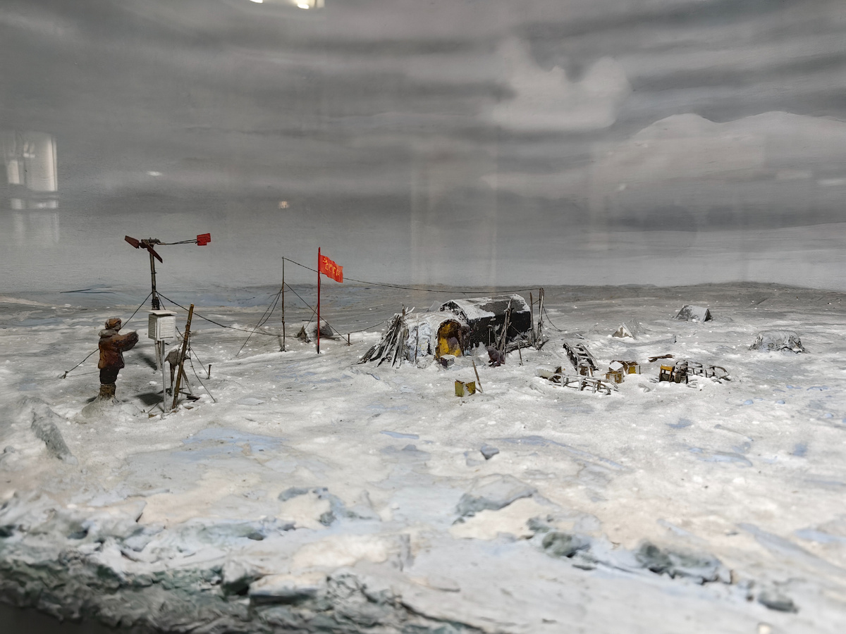 Диорама из Музея Арктики и Антарктики