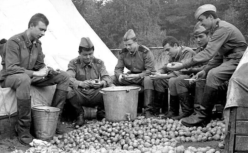 фото Алексея Любишкина...