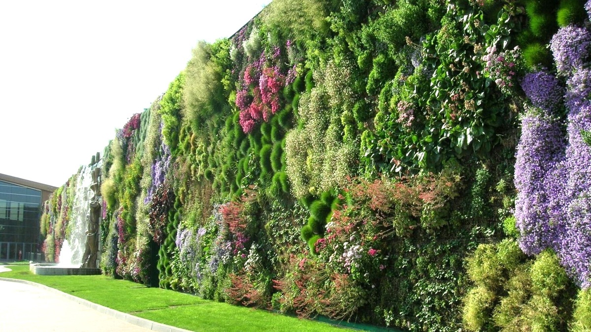 Идеи для вертикального озеленения