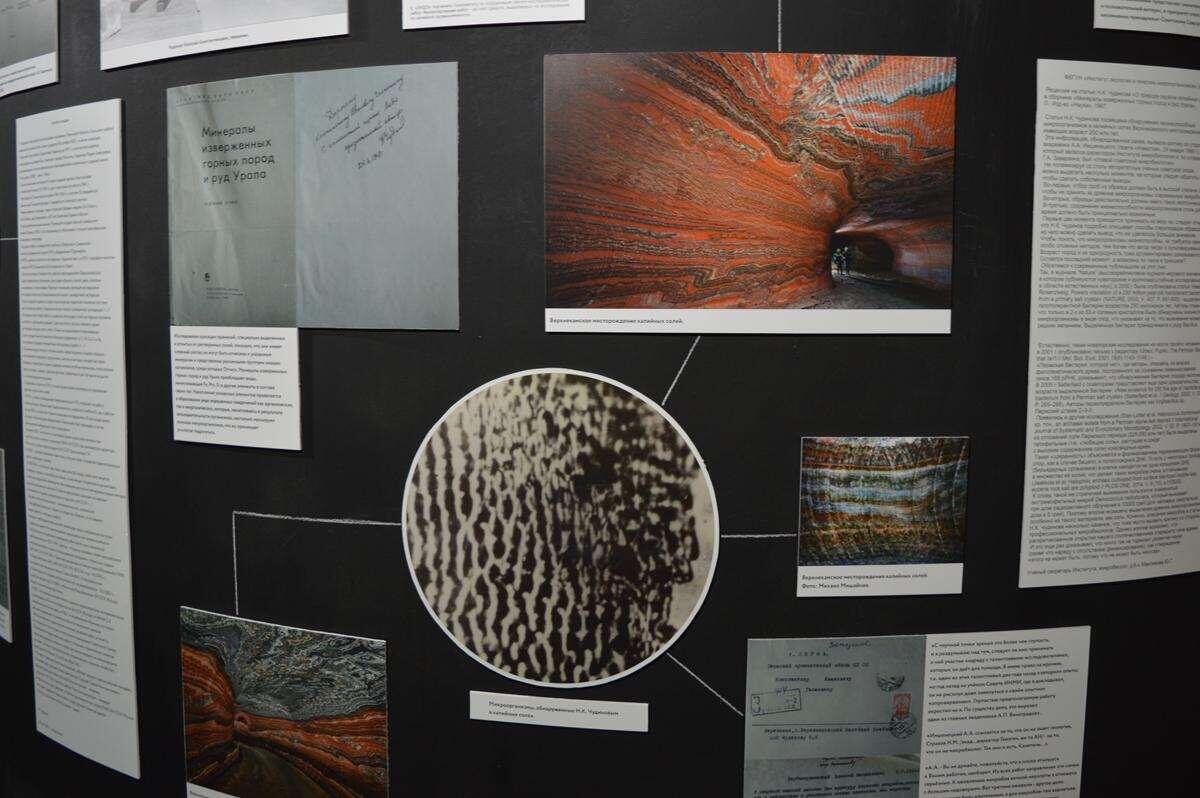    Выставка Они живые. Музей пермских древностей. Архив Пермского краеведческого музея, 2025 г.  stalker