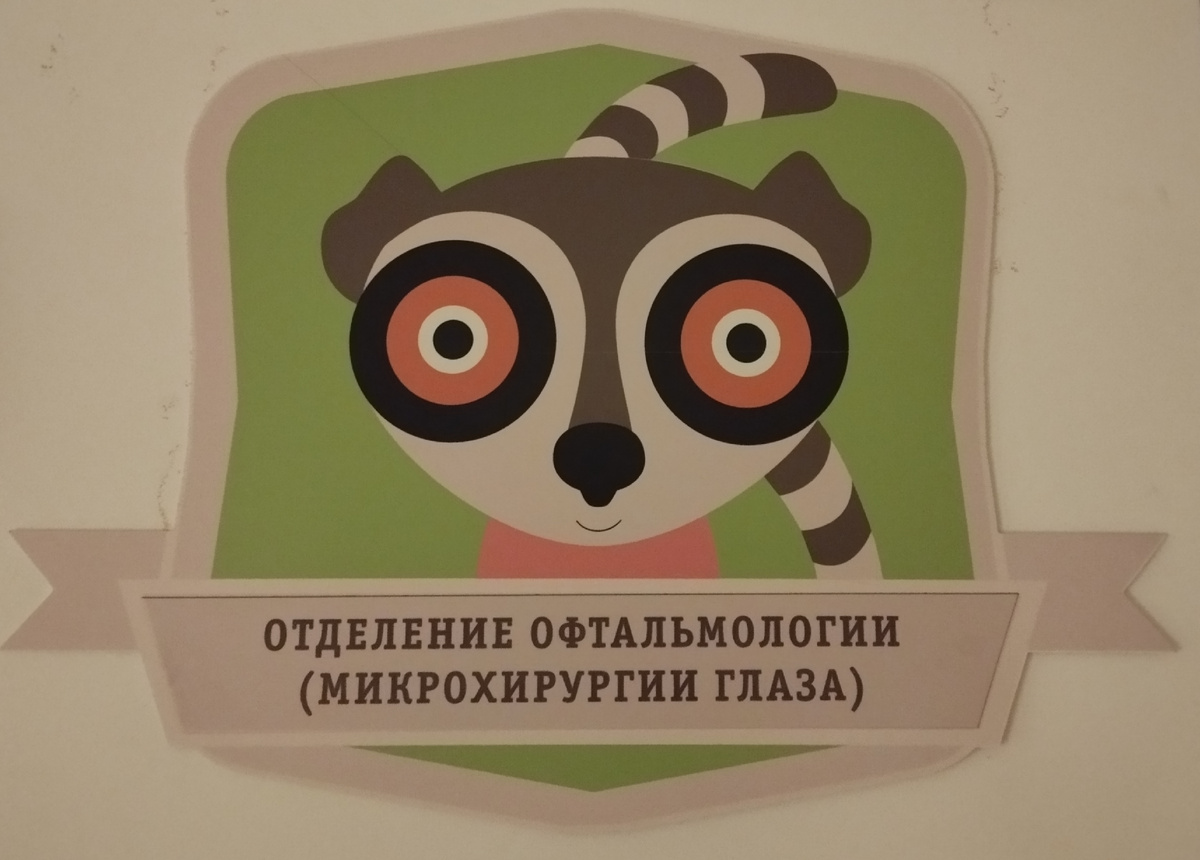 Вот такой забавный лемур. У него -то со зрением полный порядок. ЗДЕСЬ и далее фото автора и(или) из личного архива автора, если не указано иначе.