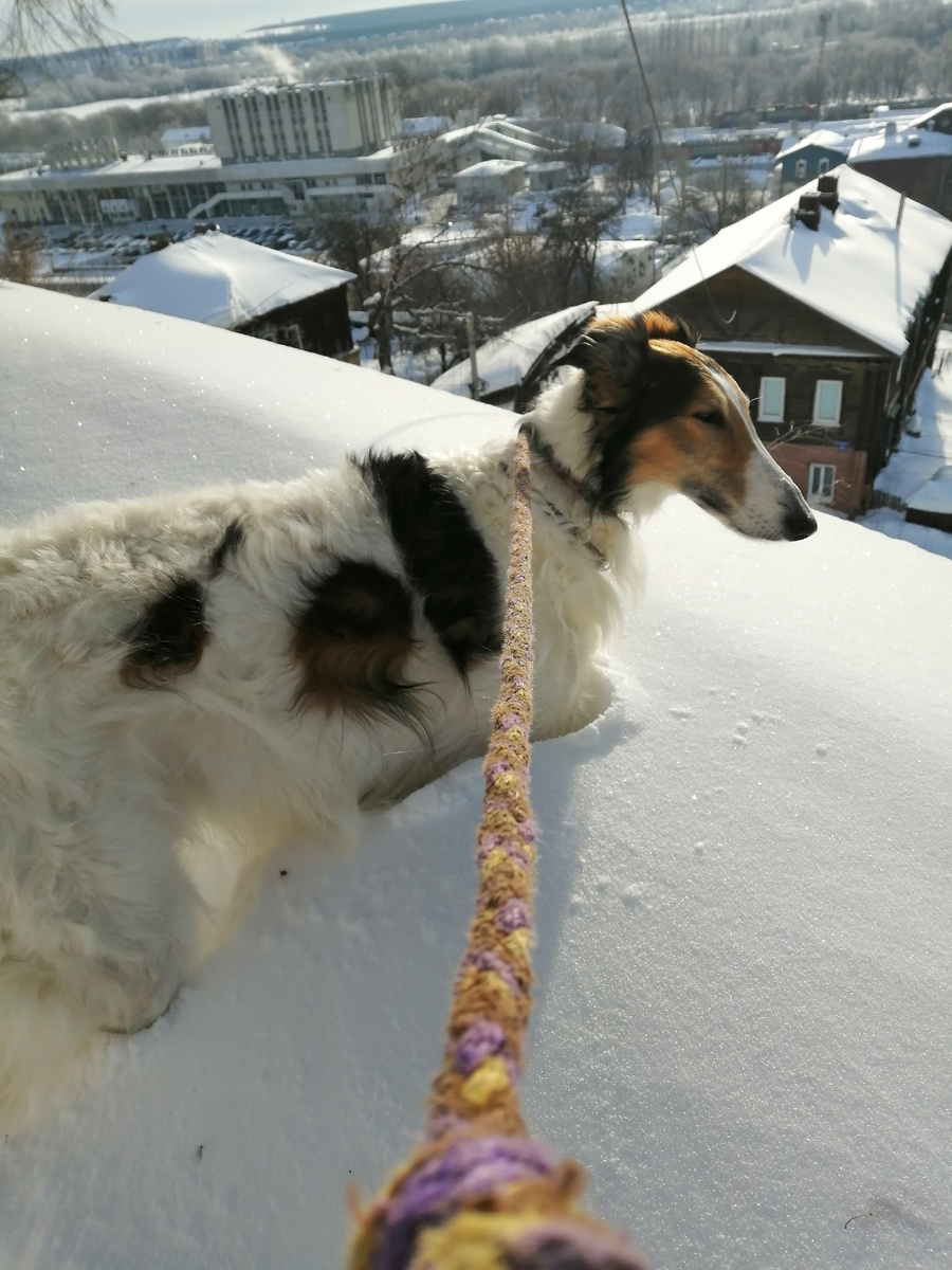 Владимир утопает в снегу