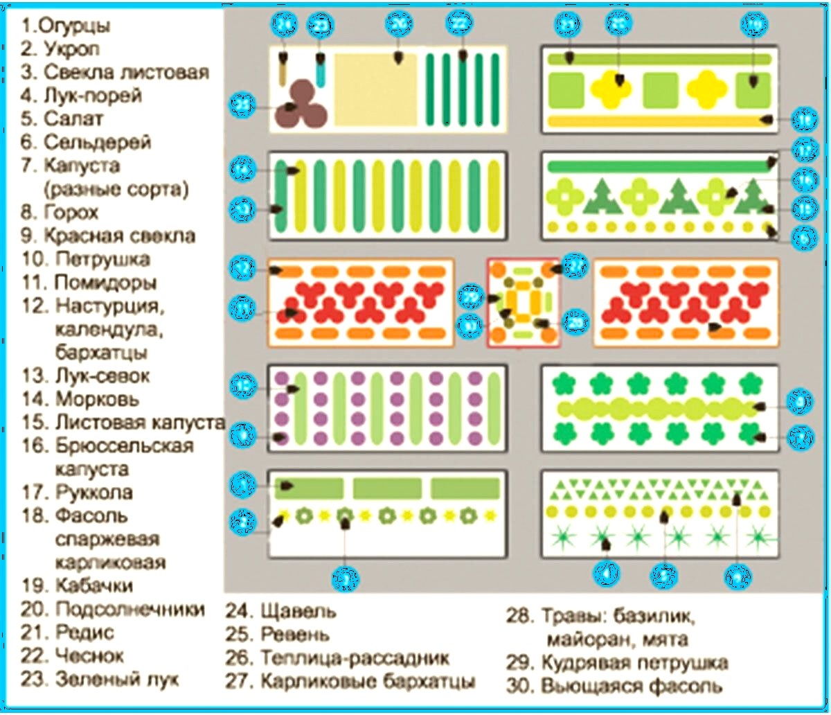 План посадок на небольшой участок